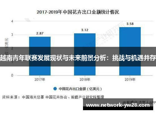 越南青年联赛发展现状与未来前景分析：挑战与机遇并存